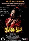 Chainsaw Sally poster