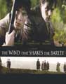 The wind that shakes the Barleys